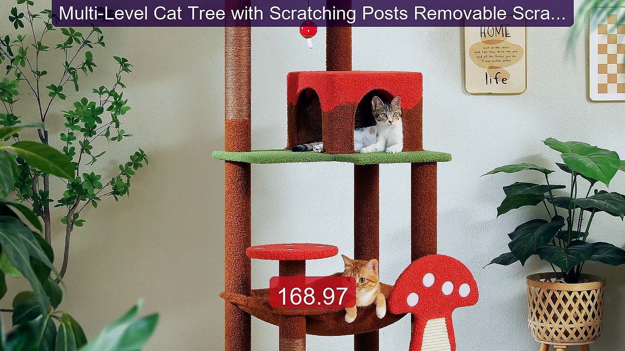 Multi-Level Cat Tree with Scratching Posts Removable Scratcher... -- Best Buy 2026 | Great Quality!
