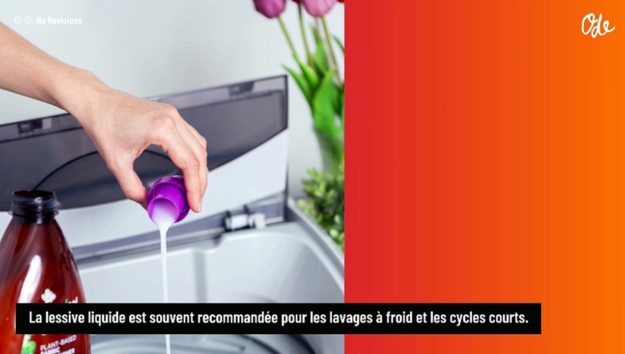 Lessive en poudre ou lessive liquide : laquelle est la meilleure pour votre machine à laver ?