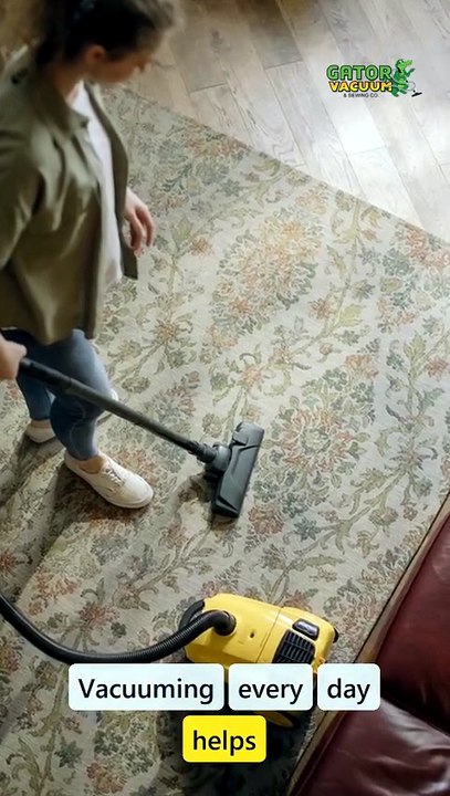 Gator Vacuum  5 Key Benefits of Vacuuming Your Home Every Day