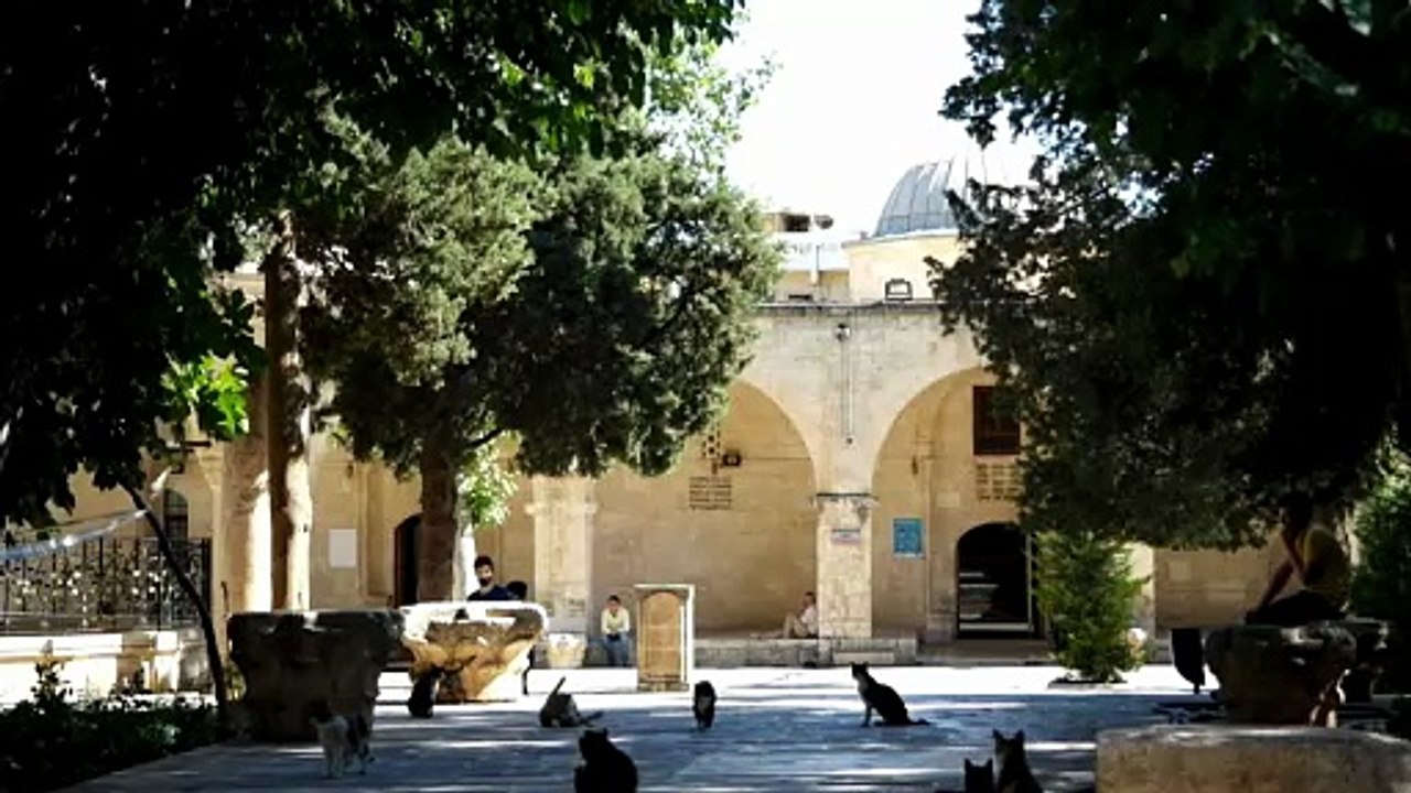 ibnül arabi