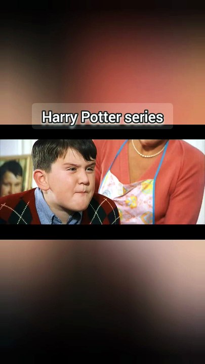 Harry Potter series