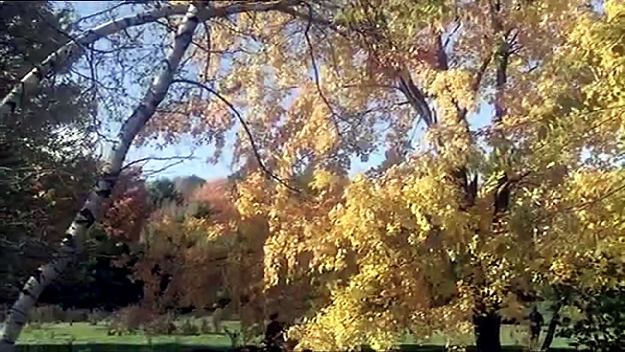 Los europeos (1979)
