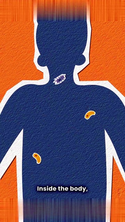 Banocide Forte Tablet | Buy Diethylcarbamazine Health Guide