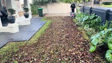 Buried under leaves but still came up looking clean 👌🍂