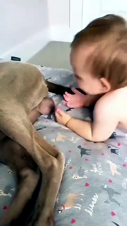 Toddlers Pointing At Things They Shouldn’t!
