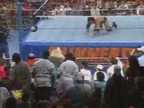 wwe Shawn Michaels vs Razor Ramon-Ladder Match WWF Title 1