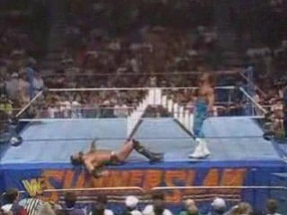 wwe Shawn Michaels vs Razor Ramon-Ladder Match WWF Title 2 - Vidéo ...