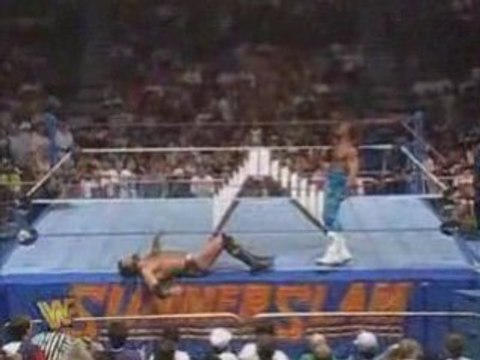 wwe Shawn Michaels vs Razor Ramon-Ladder Match WWF Title 2