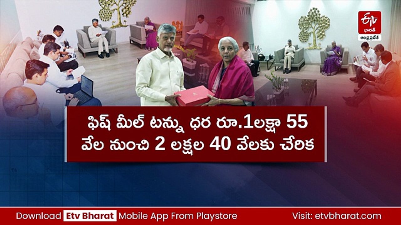 పొగాకు, ఆక్వా రైతులను ఆదుకోండి - నిర్మలా సీతారామన్‌కు సీఎం చంద్రబాబు విజ్ఞప్తి