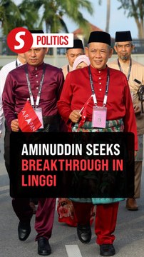Negri polls: Aminuddin to face three-cornered battle in Linggi