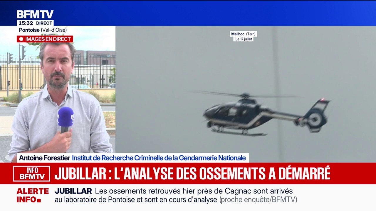 Affaire Jubillar: l'analyse des ossements, retrouvés près de Cagnac-les-Mines, a démarré
