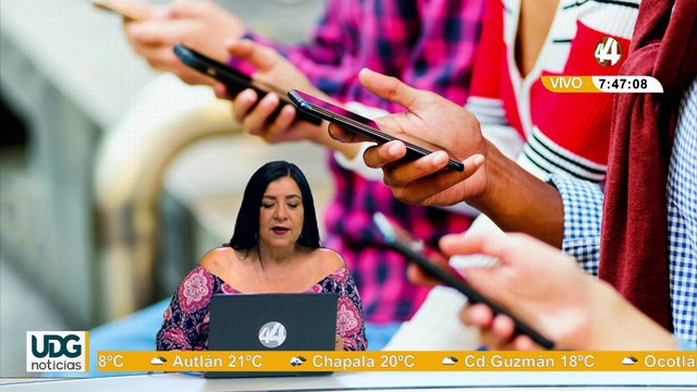 Líneas telefónicas vinculadas al registro nacional | Lourdes Santaolalla