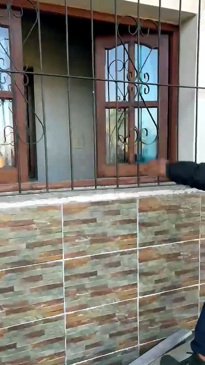 whatsapp video 2026-07-17 at 10.59.51 am.mp4
