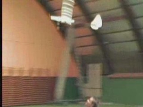 Trapanelle au vol lent