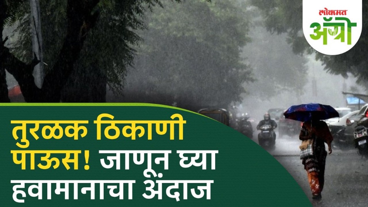 Maharashtra Rain Alert : विदर्भात पाऊस, पण केवळ दोनच दिवस! काय आहे हवामान विभागाचा अंदाज?