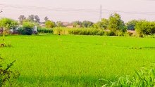 Beautiful Scenery and Peaceful Nature