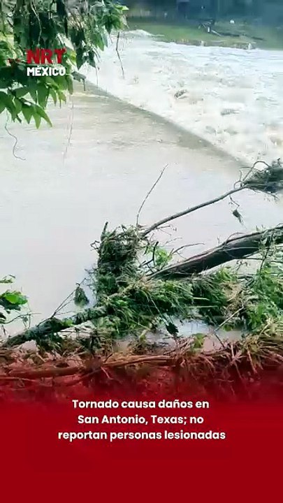 Tornado causa daños en San Antonio, Texas; no reportan personas lesionadas