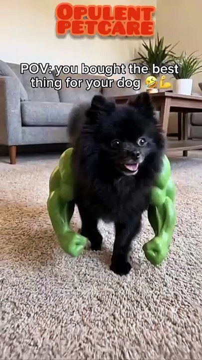 Hulk Muscle Arms Dog Chew Toy – Funny Flex Pet Toy 💪🐶
