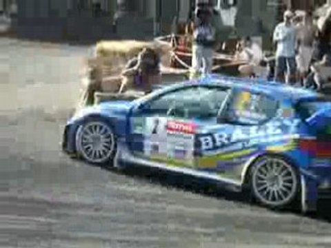 Da Cunha 206 WRC Rallye Rouergue Moyrazès 2008