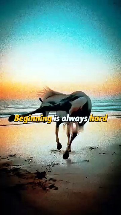 Har Shuruat Mushkil Hoti Hai | Inspirational Horse Running Video