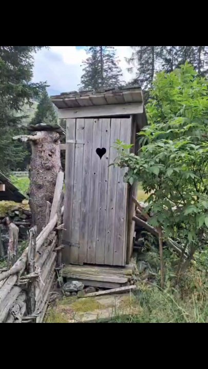 Das Plumpsklo im Wald