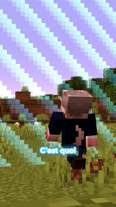 Voici la VRAIE Limite du monde de Minecraft !
