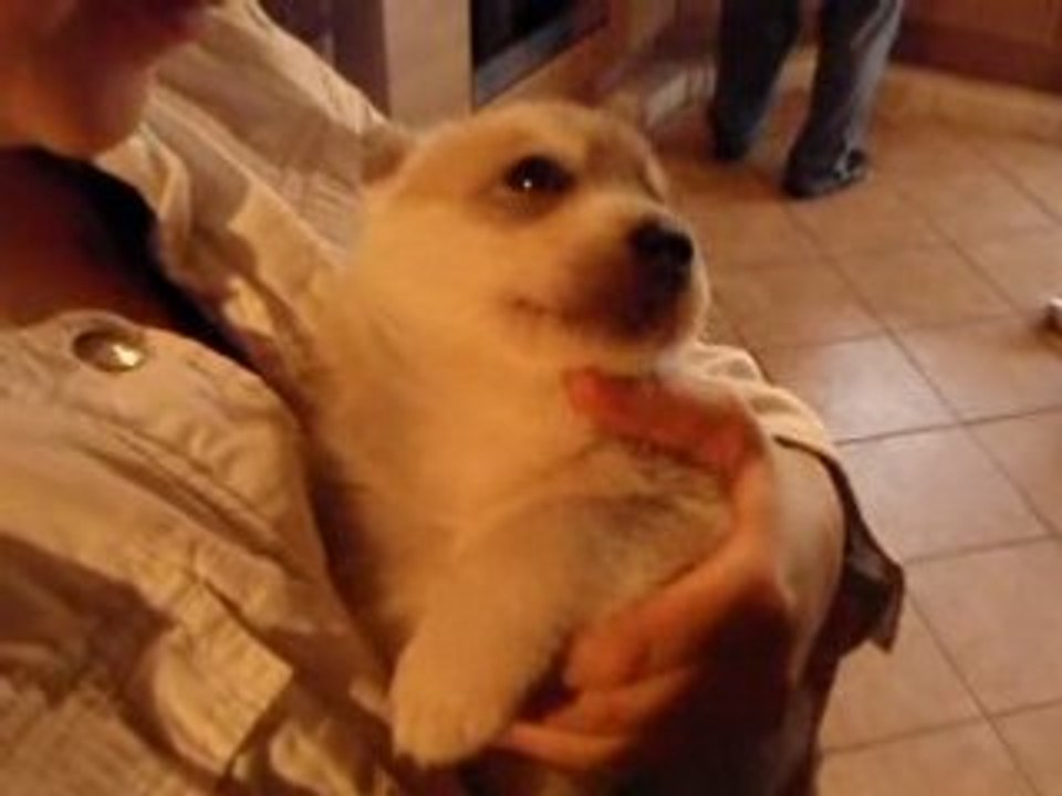 Haska toute calme. le 5 juin 08