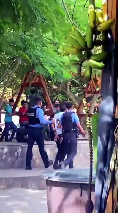 Detienen a Shakiro hondureño en Gracias, Lempira