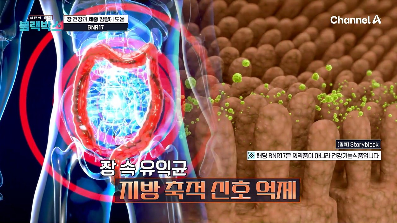 허리둘레 평균 5CM 감소!? 건강한 체중 감량으로 요요 현상 없는 체형 유지에 도움...