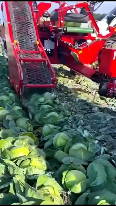 The Most Satisfying Agriculture Videos You’ll See Today! 🤤🌾