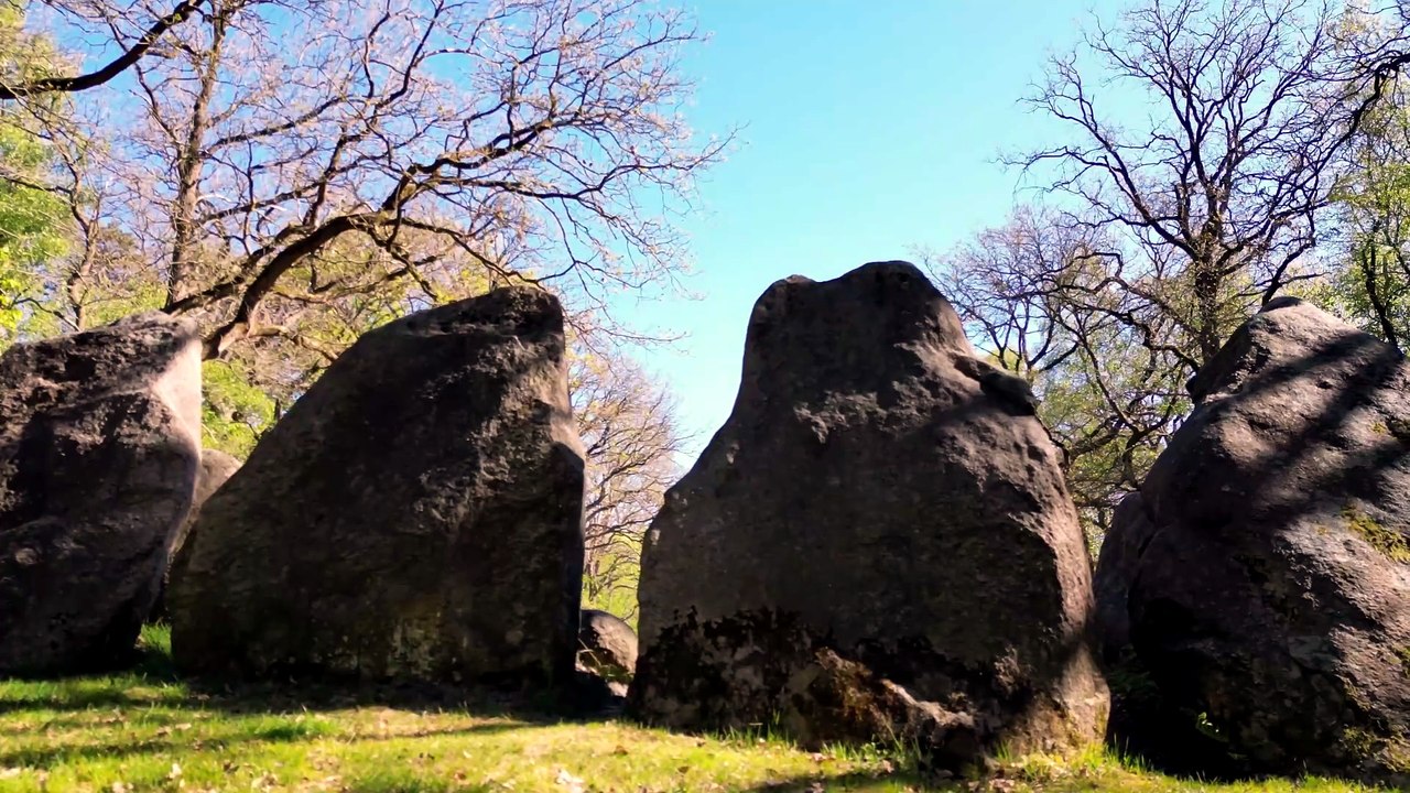 Visbeker Braut - 5000 Jahre Geschichte