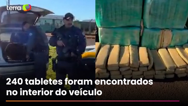 Homem é preso com mais de 150 quilos de maconha em rodovia do interior de SP; veja