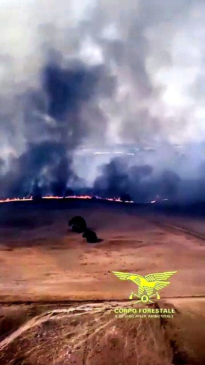 Incendio a Nuragugume, in azione anche due Canadair | VIDEO |