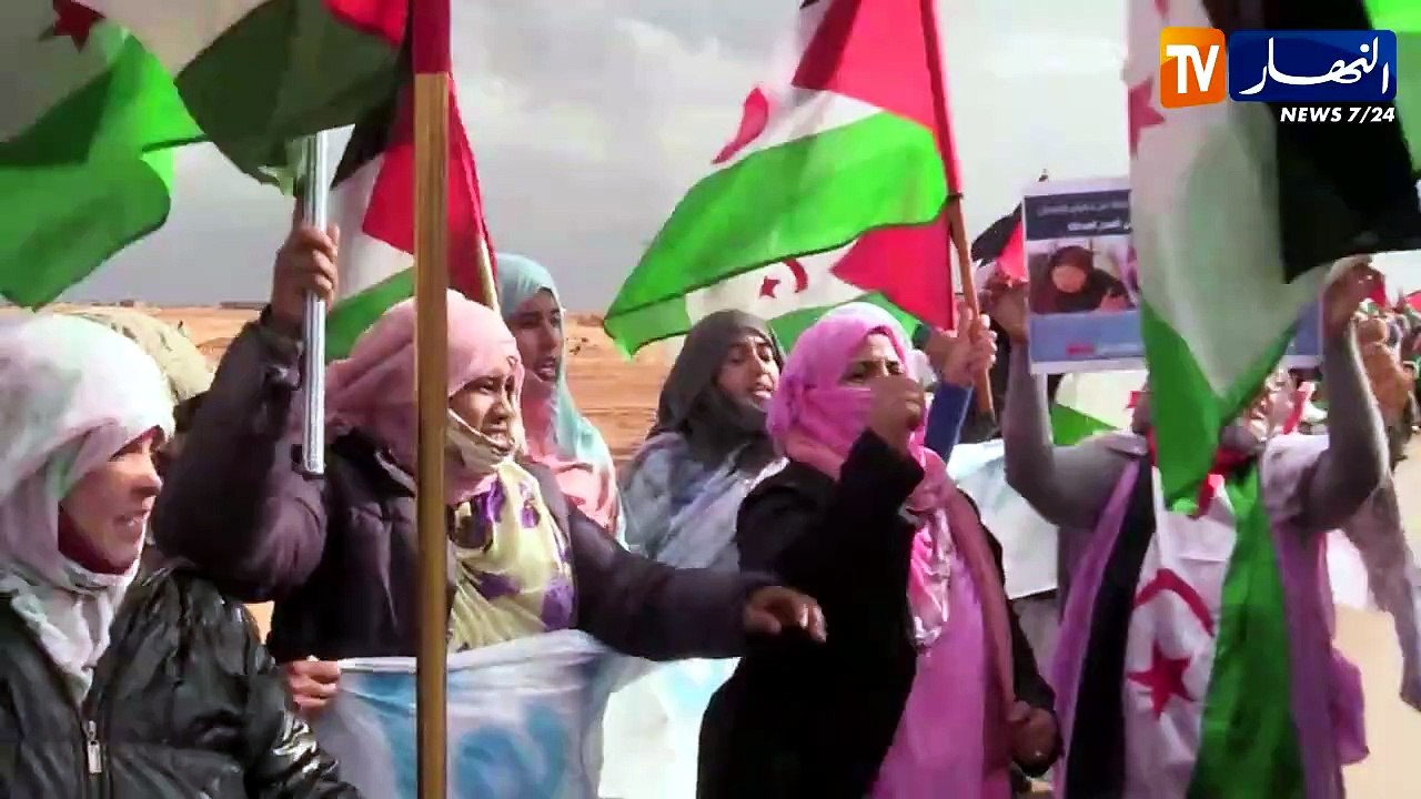 نضال واحد.. وثائقي عالمي يعيد تسليط الضوء على قضية الصحراء الغربية