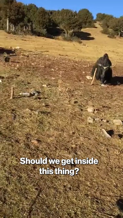 RFK Jr. charged by Yak in resurfaced video