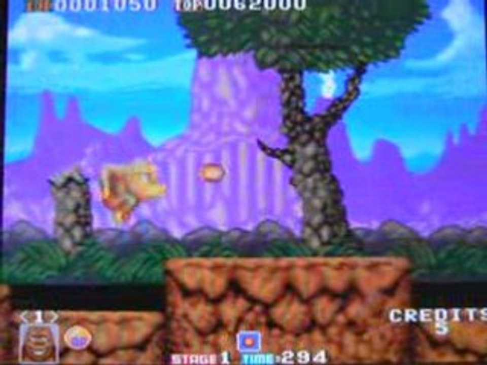 Toki Jeux d'arcade