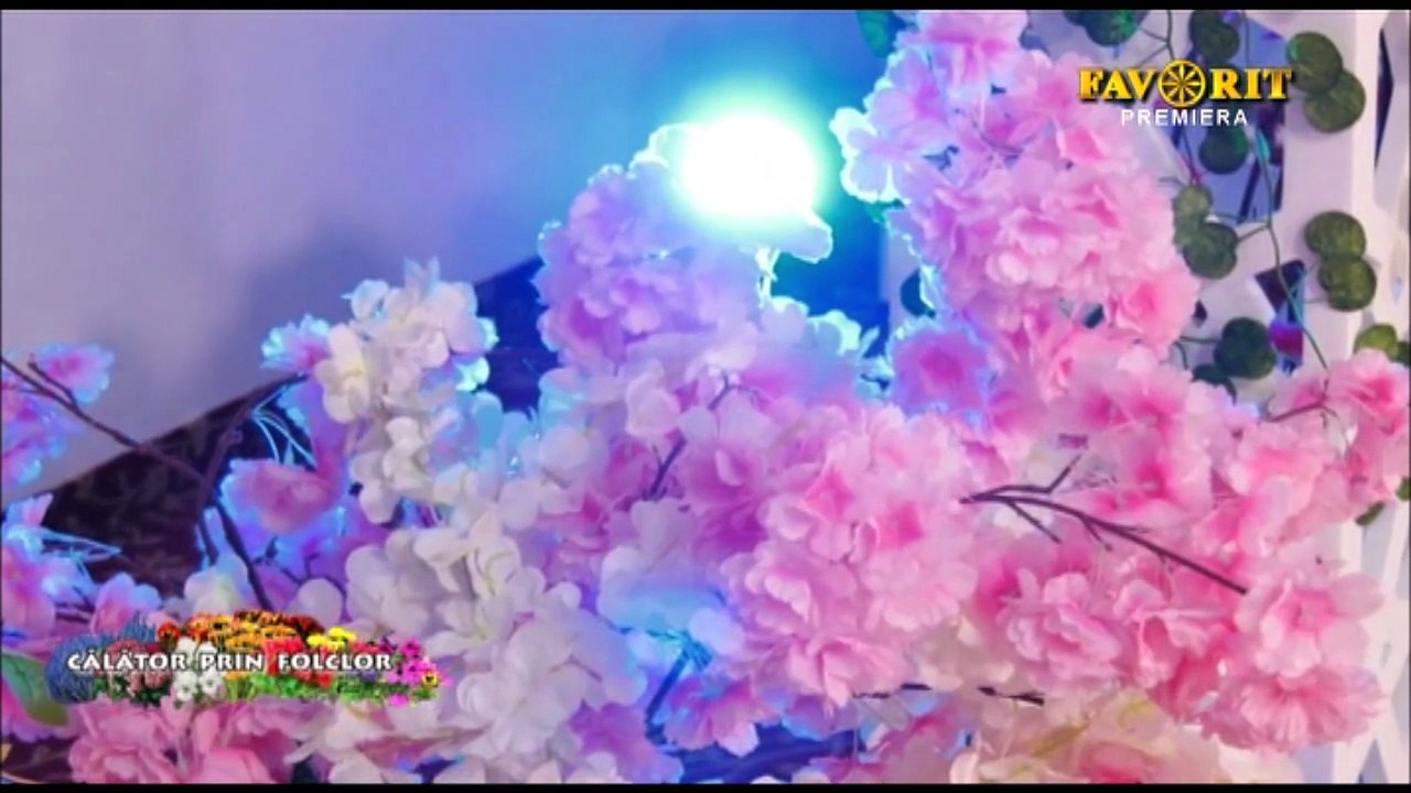 Cristina Chiruta - Ti-am zis bade, ti-am tot zis (Calator prin folclor - Favorit TV - 17.05.2026)