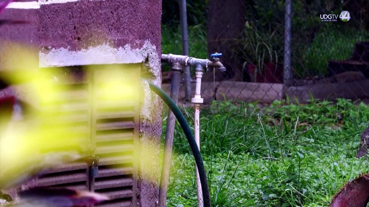 Vecinos de Terrazas en Tlaquepaque se amparan por agua contaminada; Instituto de Defensoría lo apoya