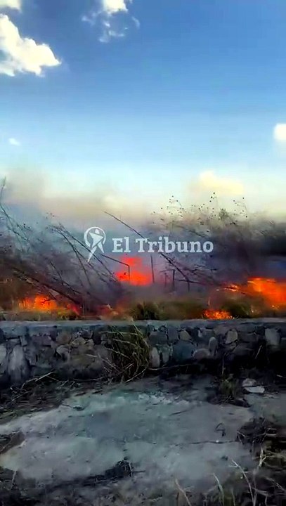 Zonda en salta: incendio en Ampliación 14 de mayo