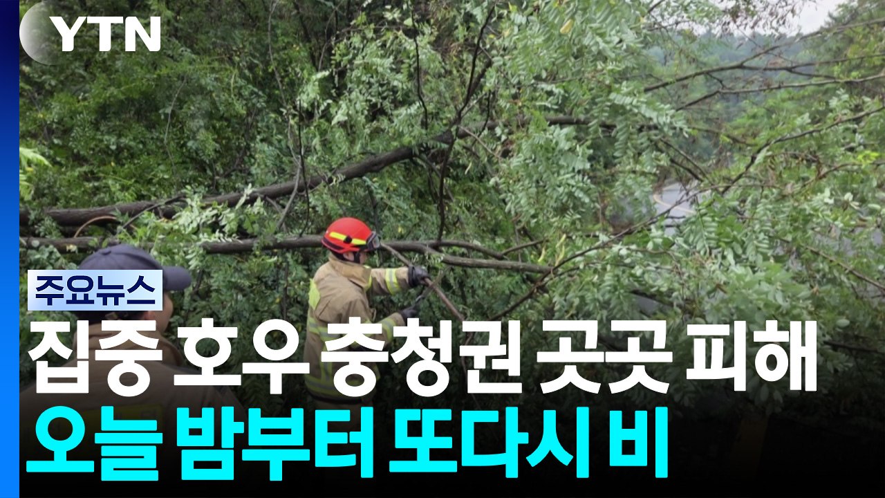 집중 호우에 충청권 곳곳 피해...오늘 밤부터 또다시 비 / YTN