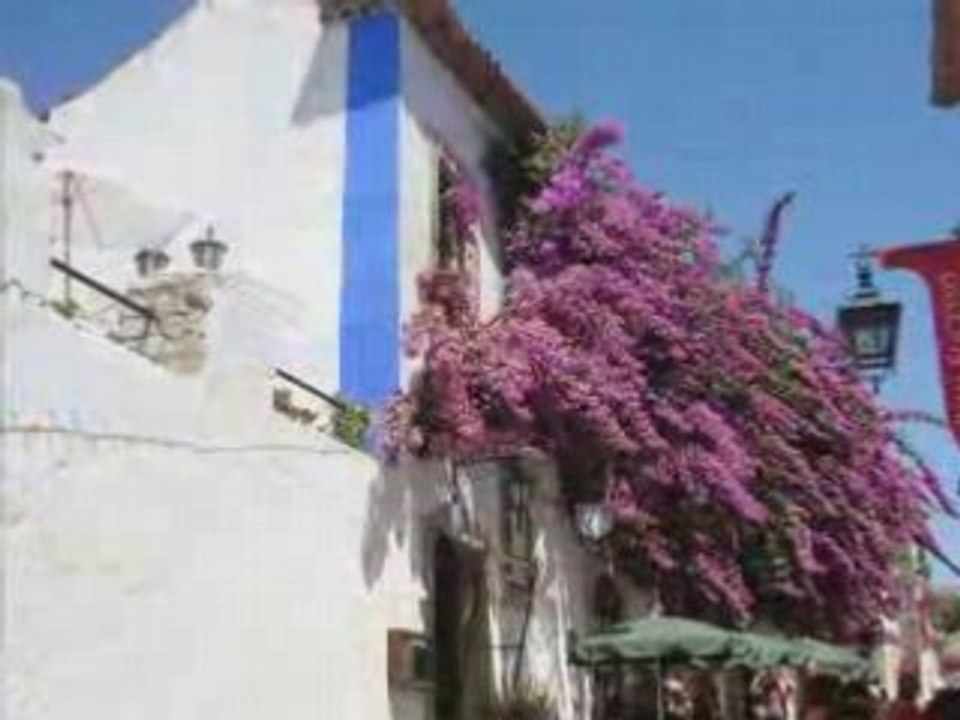 Le Portugal, le pays bleu -