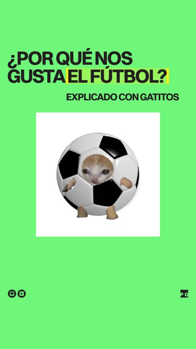 ¿Por qué nos gusta el fútbol? Explicado con gatitos
