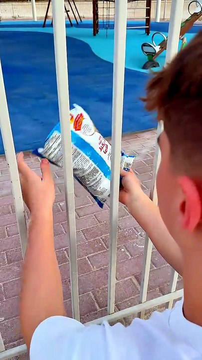 Giving Him a Bag of Chips 🥰❤️🍟