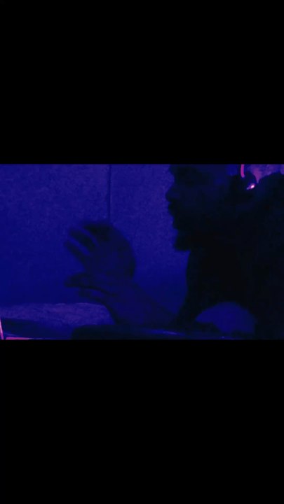GREEN EGGS & HAM (Music Video)