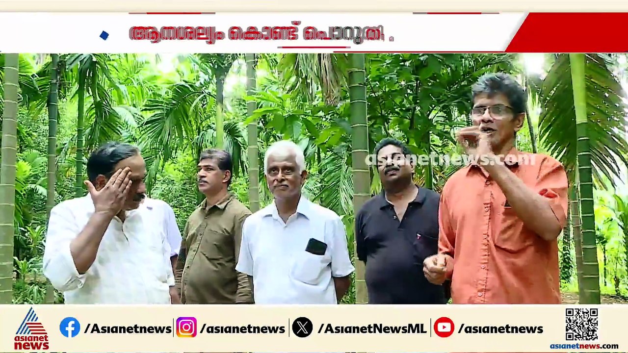 പുഴകടന്ന് ആനകൾ എത്തുന്നത് പതിവാകുന്നു; കൃഷിയിടങ്ങൾ നശിപ്പിച്ചതോടെ കർഷകർ ദുരിതത്തിൽ