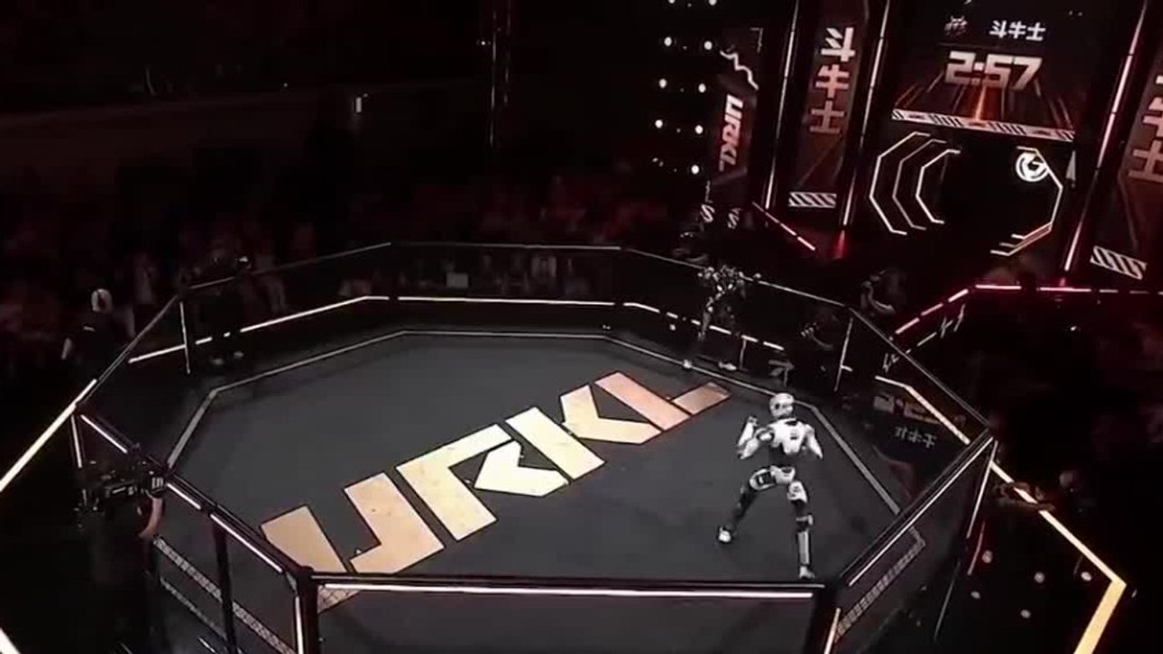 tn7-robots-sorprenden-en-combate-de-artes-marciales-160726