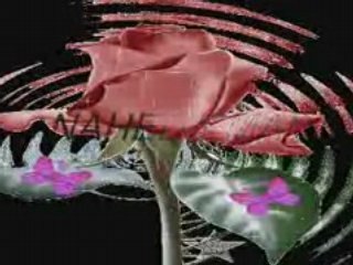 سلامتك من الاه