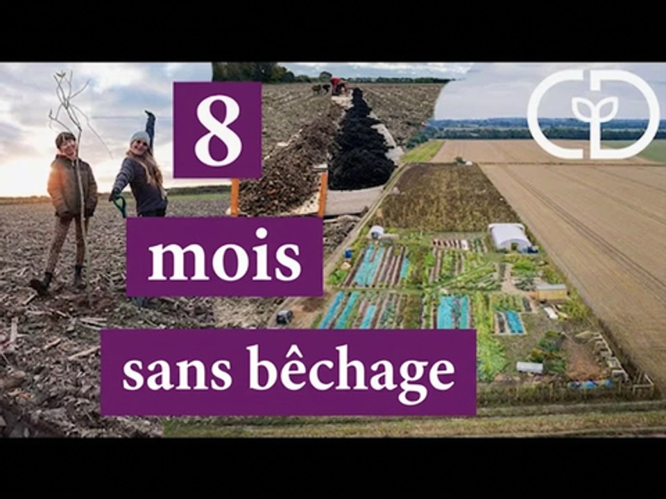 Première année sans labour à la Ferme des Quatre Acres