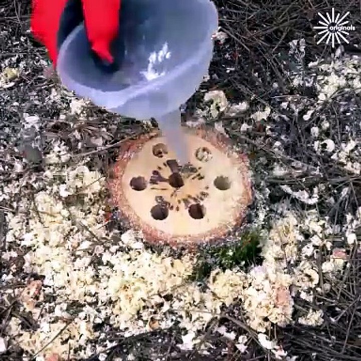 Removing tree stumps & healing tree hollows with ease!