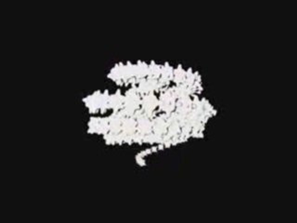 Klone-effectoren-4-1